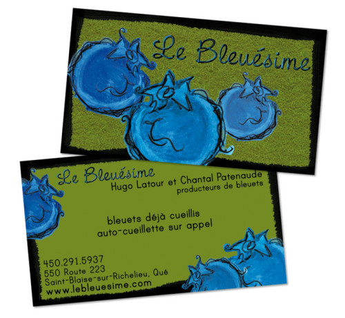 carteBleuesime
